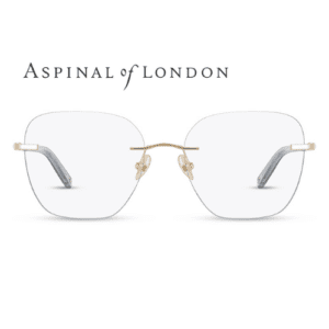 Aspinal of London ASP L564-T Col.01 Shiny light Gold and Polished Grey tips 55-17-140 front